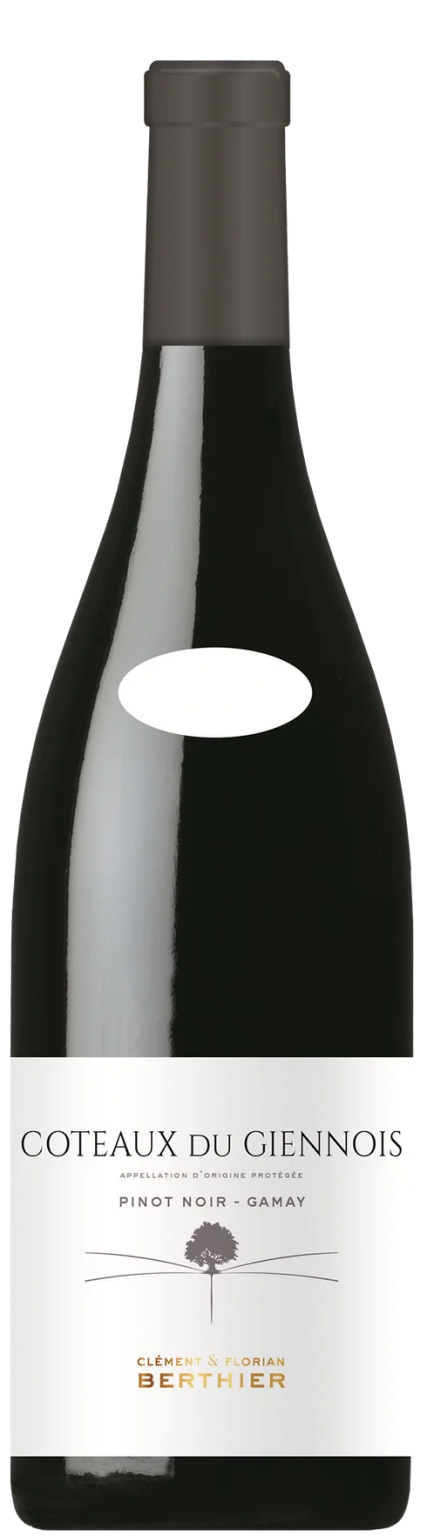 2022 Clement & Florian Berthier Coteaux du Giennois Rouge, Loire, France (750ml)