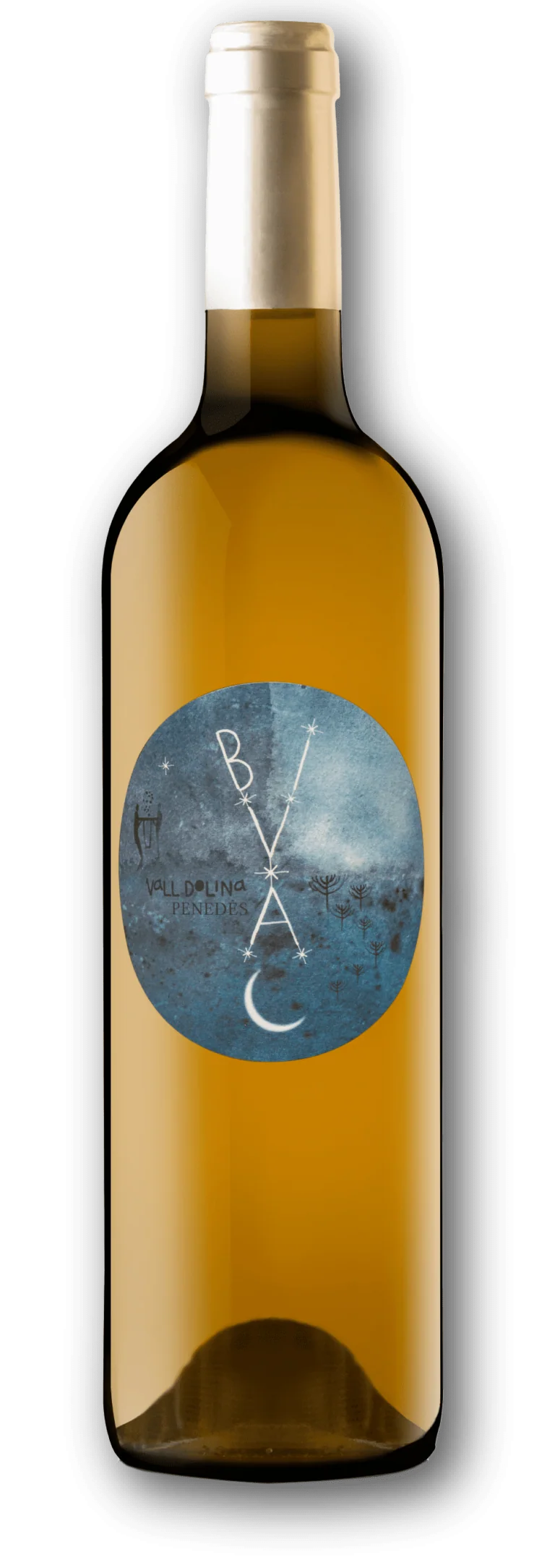 2025 VallDolina Bivac, Penedes, Spain (750ml)