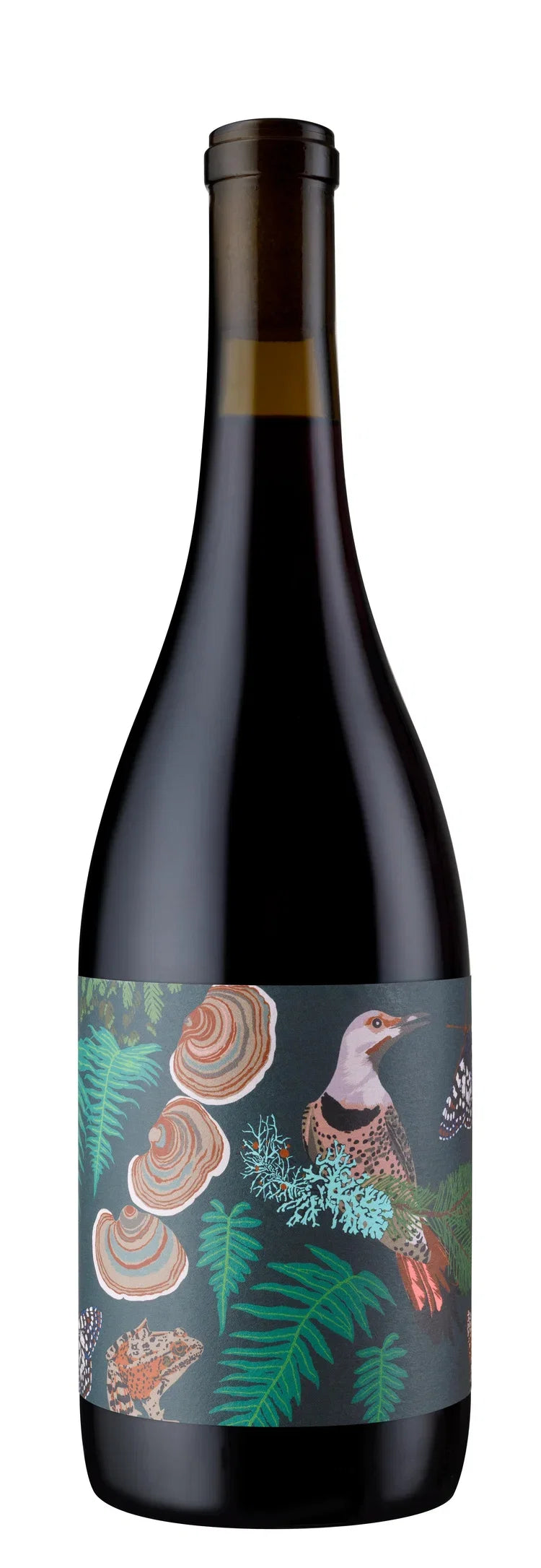 2024 Anne Amie Vineyards Pinot Noir, Willamette Valley, USA (750ml)