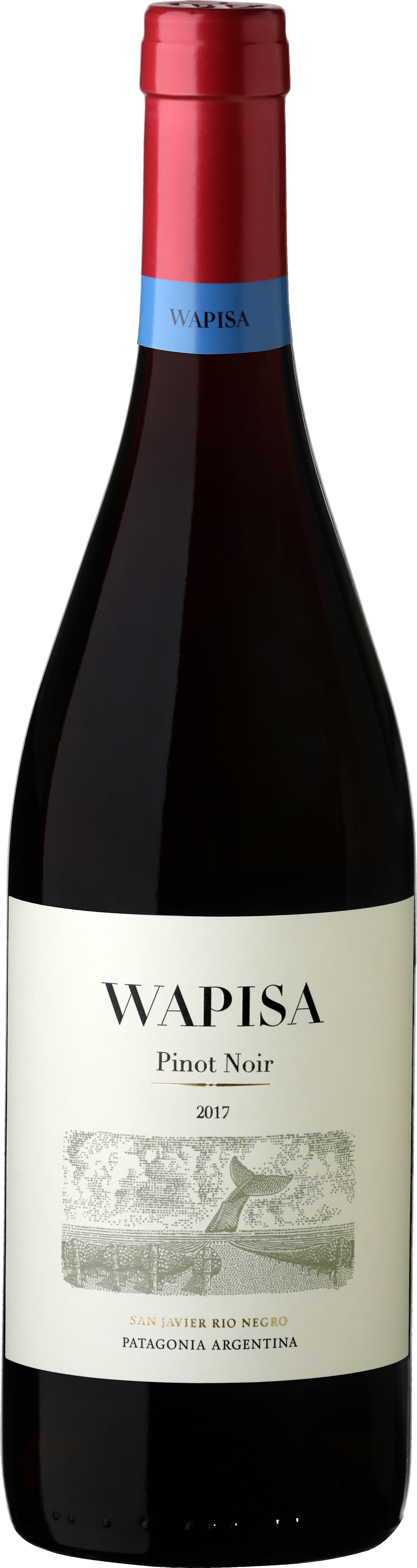 2023 Wapisa Pinot Noir, Rio Negro, Argentina (750ml)
