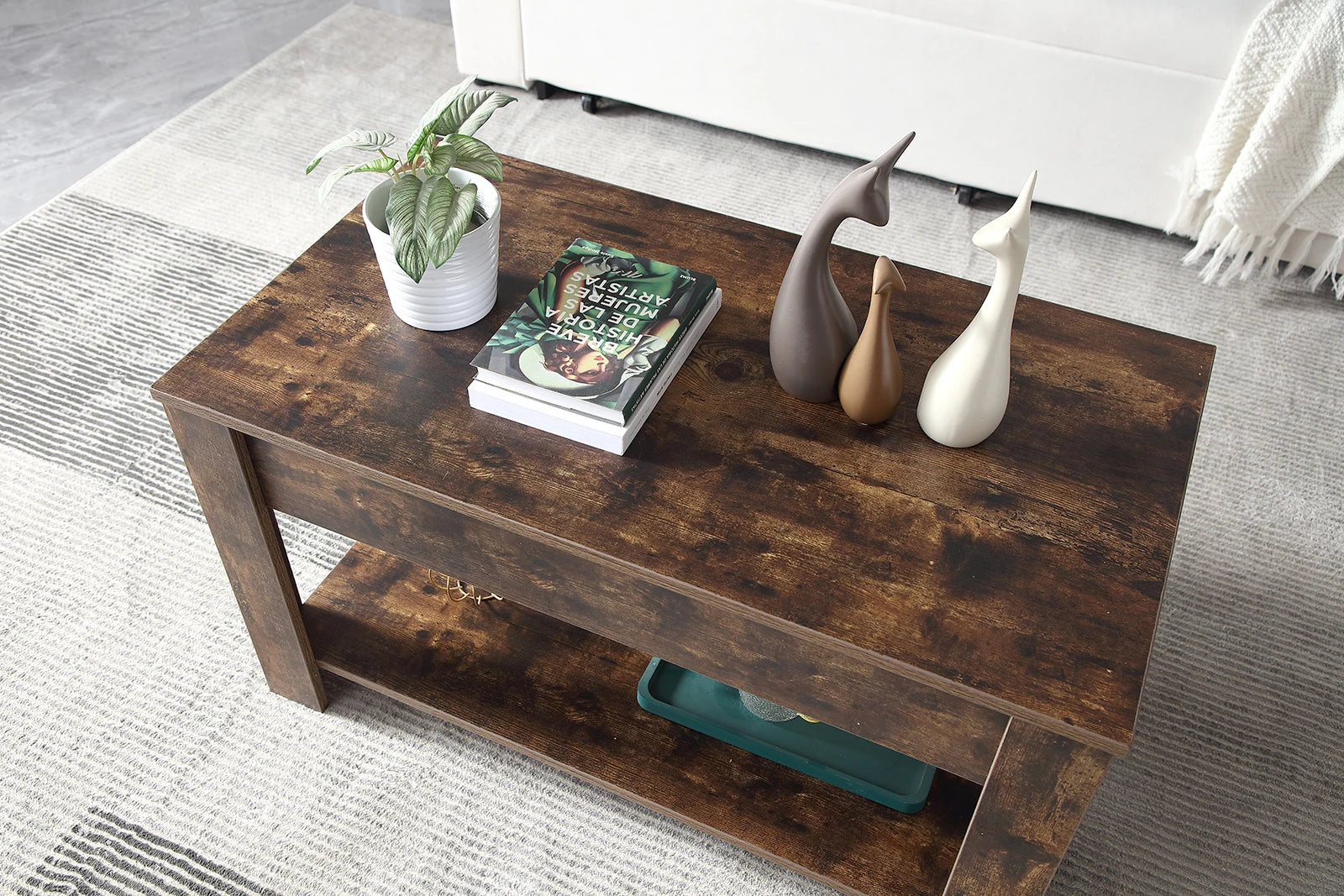 Small Modern Coffee Tables with Storage for Living Room Wood Lift Top Center Table Farmhouse