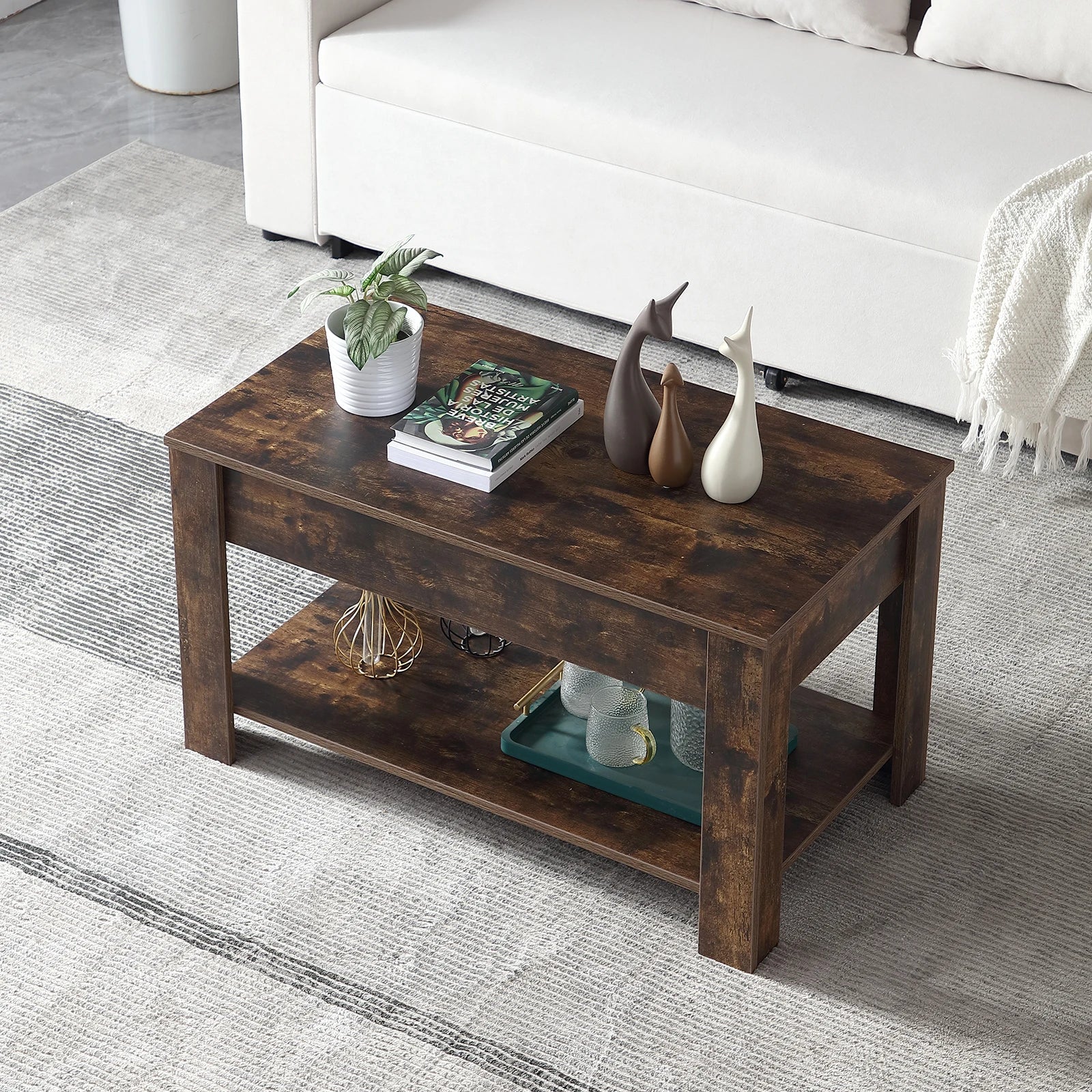 Small Modern Coffee Tables with Storage for Living Room Wood Lift Top Center Table Farmhouse