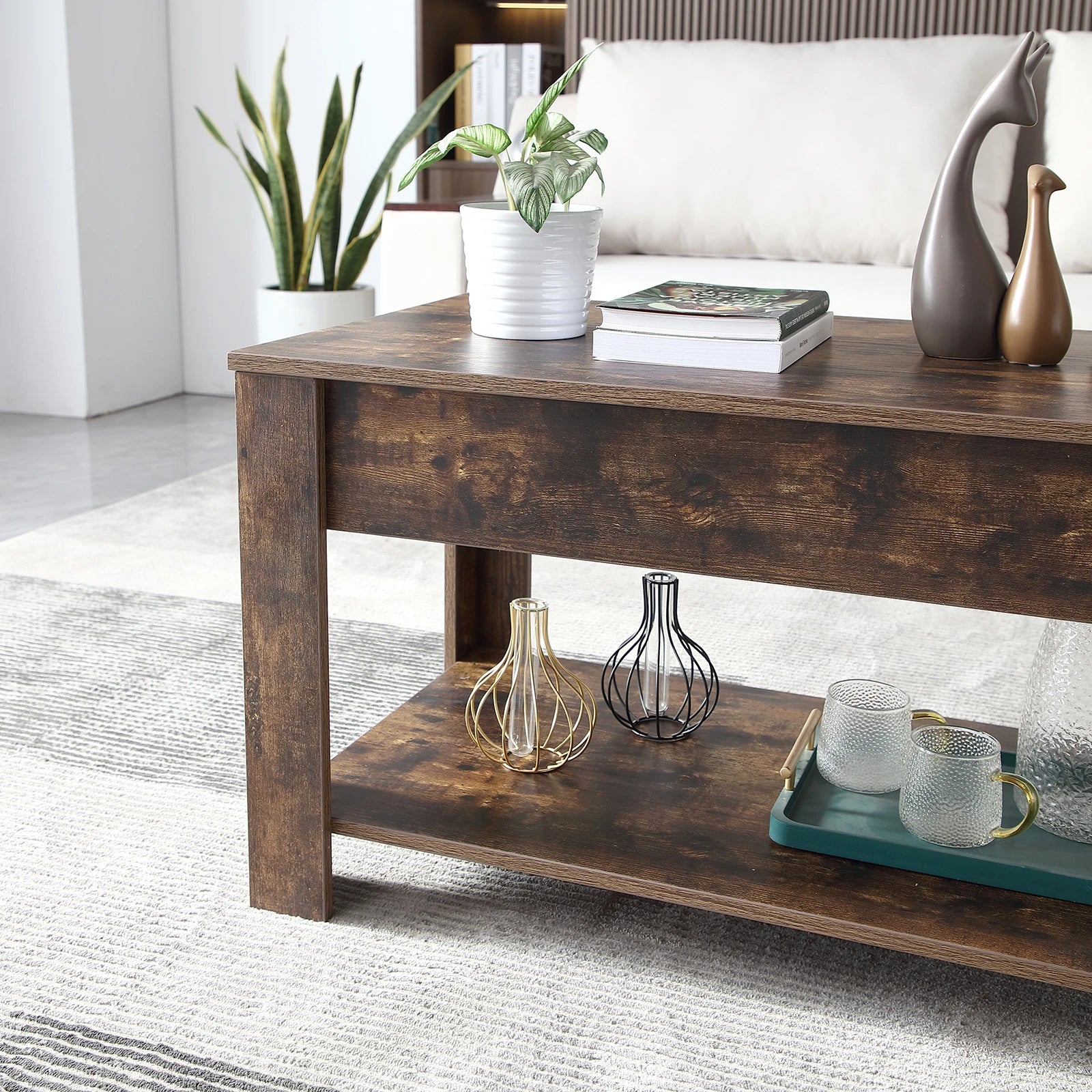 Small Modern Coffee Tables with Storage for Living Room Wood Lift Top Center Table Farmhouse