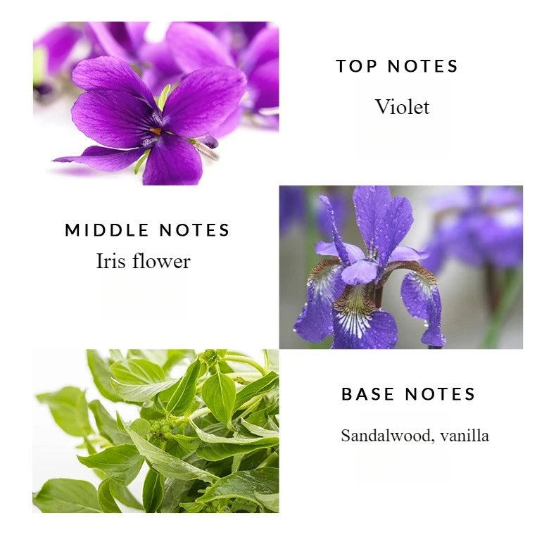Floral Fresh Citrus Perfume for Women,Premium Gift Box Set,Long-Lasting Light Fragrance,Niche Alchemist-Inspired Scent 50ml