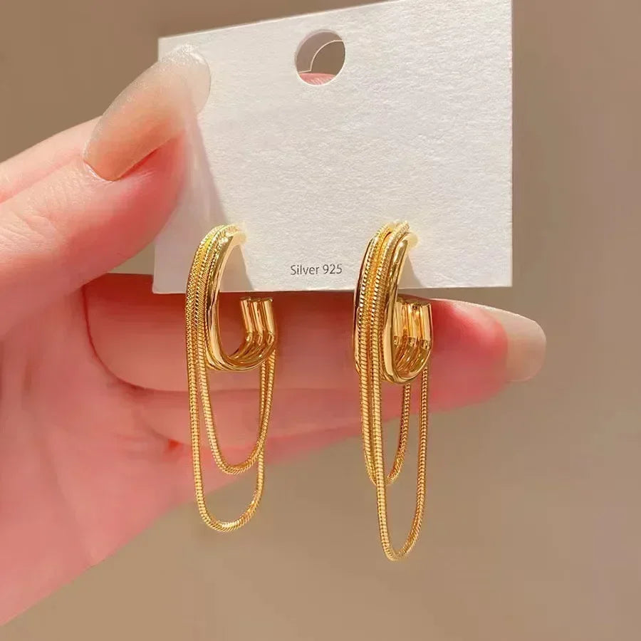 Exaggeration Ocean Style Shell Texture Stud Earrings for Women Trendy Accessories Personalization Jewelry Earrings Daily Wear