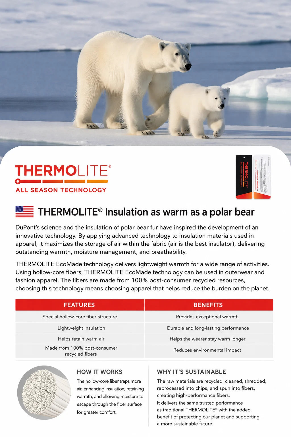Thermolite® Hooded Sweatshirt: 2025 Winter Lightweight & Warm Hoodie Unisex Solid Color Thickened Hoodie for Autumn and Winter