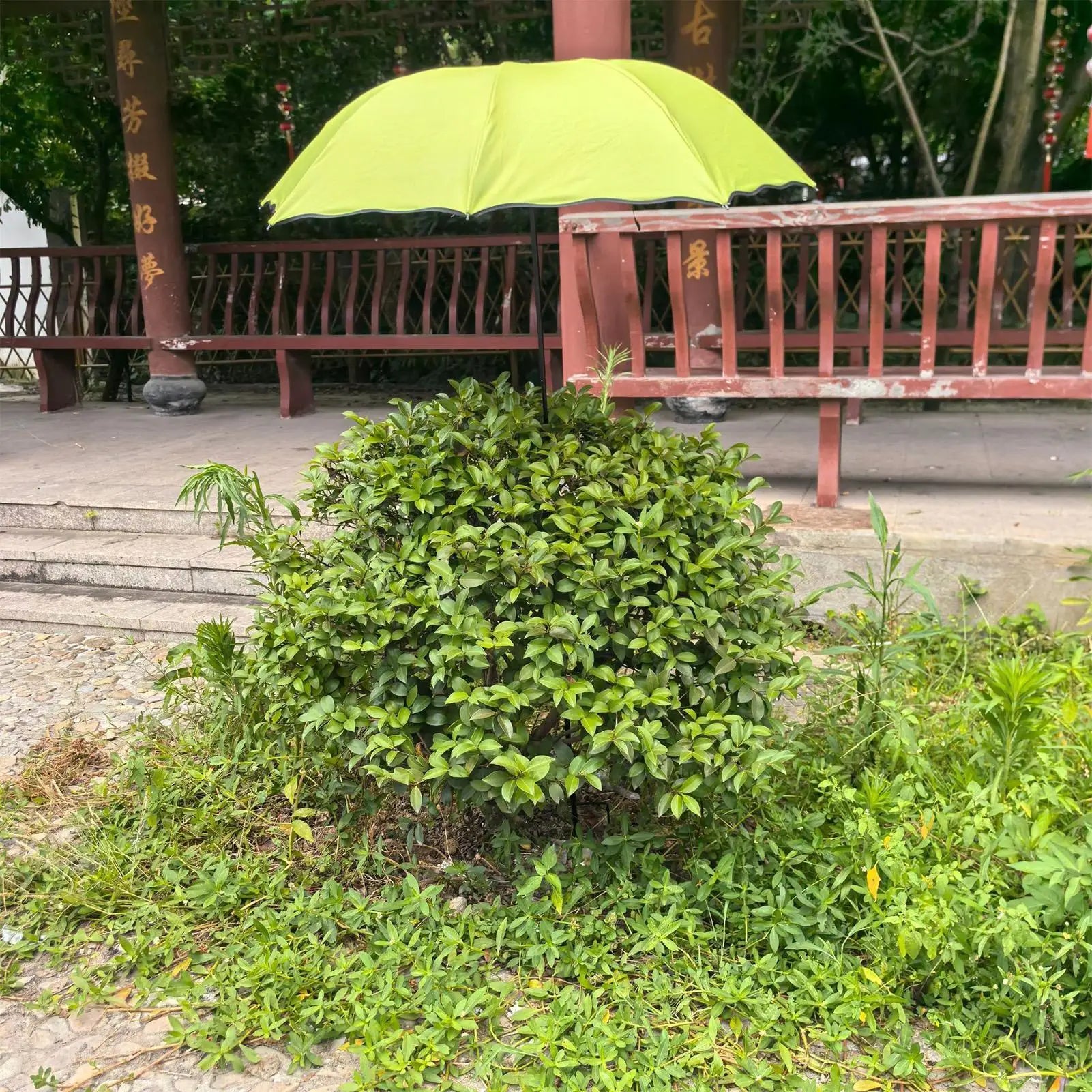 Plant Umbrella Flowers Outdoor Sun Protection Patio Plants Umbrella for Gardeners Outside Yard Patio Porch Backyard Deck Balcony