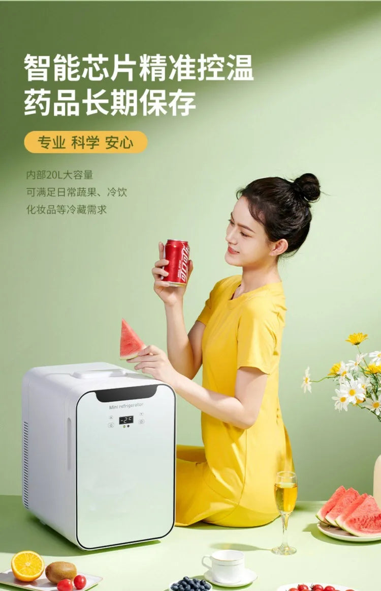12V\110V\220V New Mini Refrigerator for Home Office Car Compact and Portable with Cooling Freezing