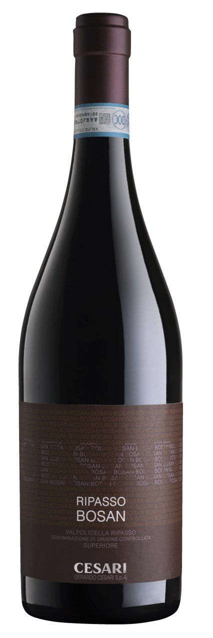 2019 Gerardo Cesari Bosan Valpolicella Superiore Ripasso, Veneto, Italy (750ml)