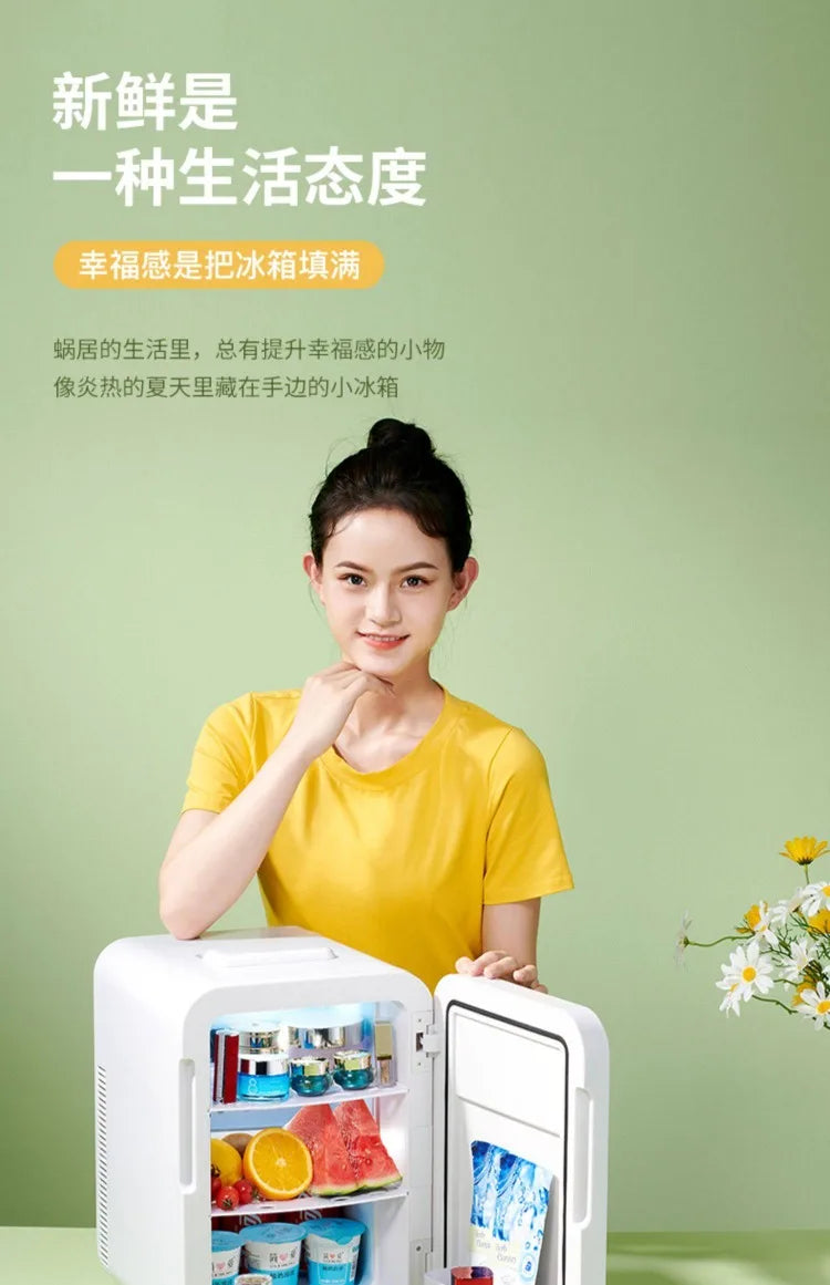 12V\110V\220V New Mini Refrigerator for Home Office Car Compact and Portable with Cooling Freezing