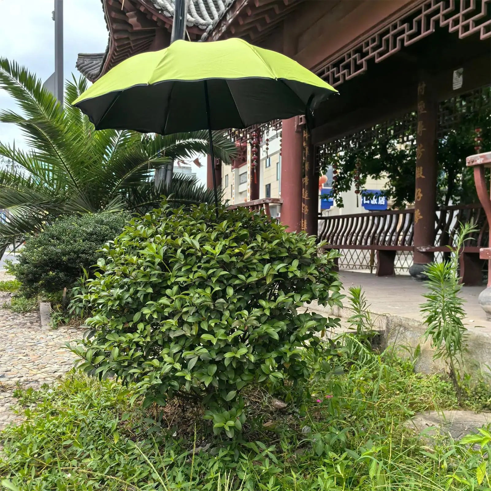Plant Umbrella Flowers Outdoor Sun Protection Patio Plants Umbrella for Gardeners Outside Yard Patio Porch Backyard Deck Balcony