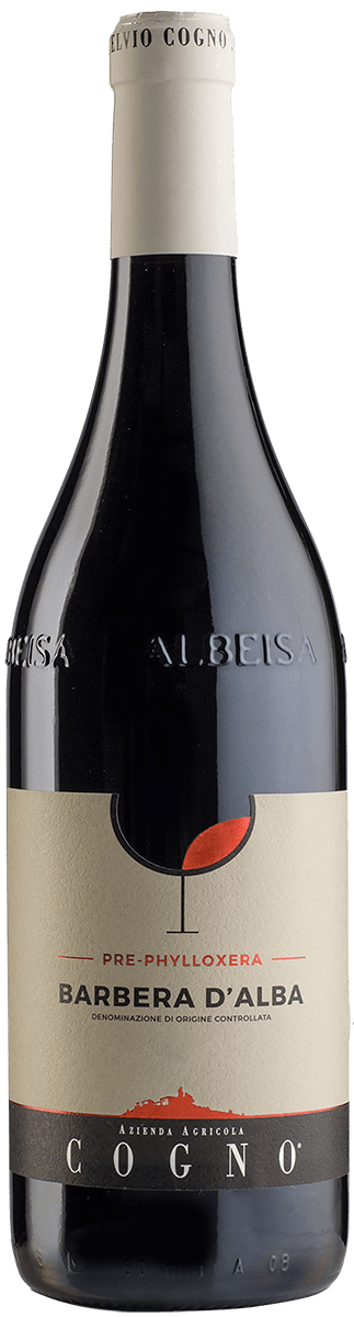 2019 Elvio Cogno Pre-Phylloxera Barbera D'Alba, Piedmont, Italy (750ml)
