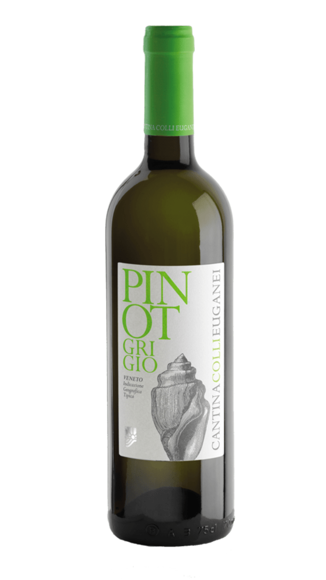 2025 Cantina Colli Euganei Pinot Grigio DOC, Veneto, Italy (750ml)