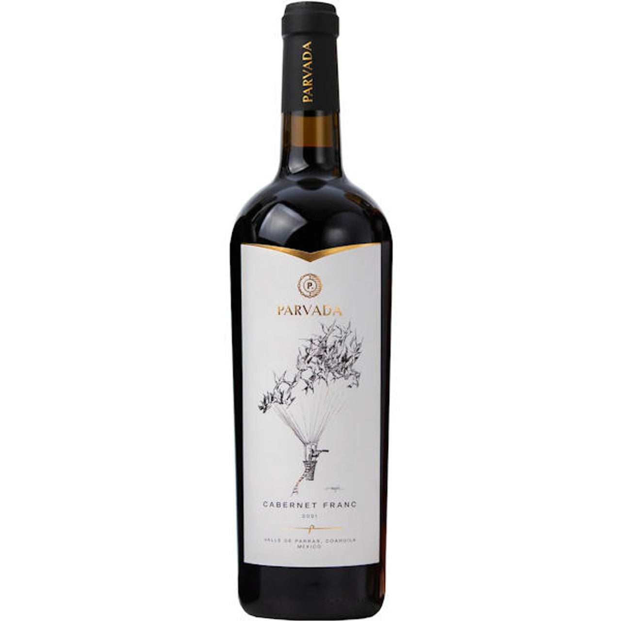 2021 Parvada Cabernet Franc, Parras Valley, Mexico (750ml)