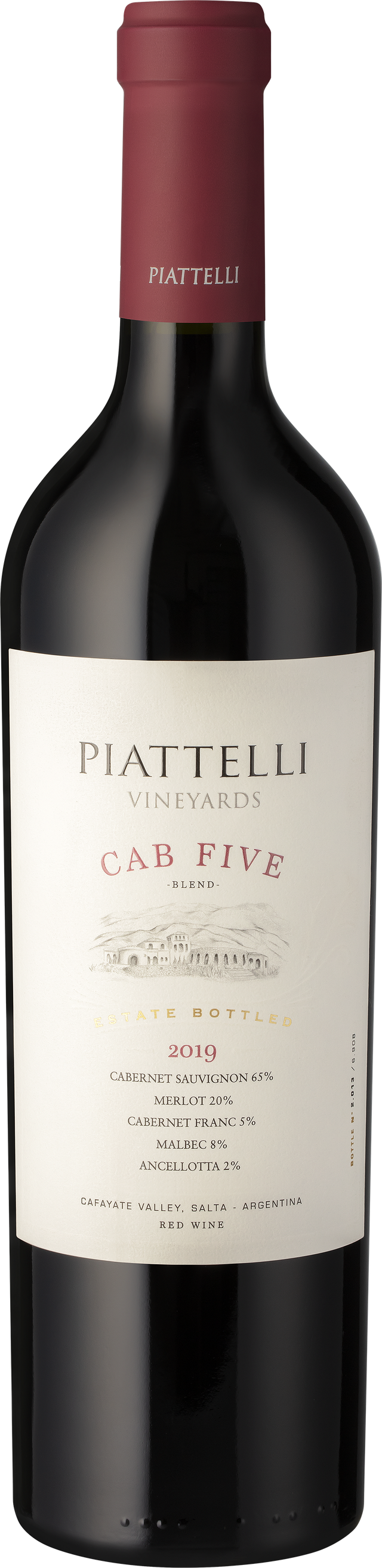 2019 Piattelli Vineyards 'Cab Five' Blend, Cafayate Valley, Argentina